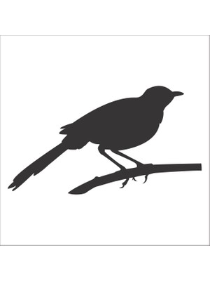 Technopa KUŞ FOLYO STİCKER - 130cm Uzunluk