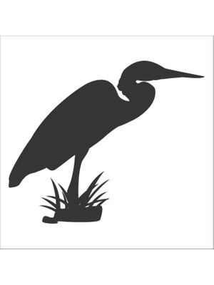 Technopa KUŞ FOLYO STİCKER - 130cm Uzunluk