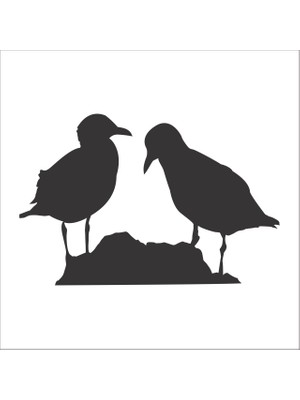 Technopa KUŞ FOLYO STİCKER - 130cm Uzunluk