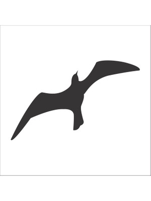 Technopa KUŞ FOLYO STİCKER - 60cm Uzunluk