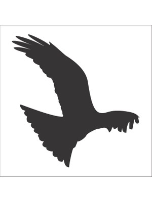 Technopa KUŞ FOLYO STİCKER - 60cm Uzunluk