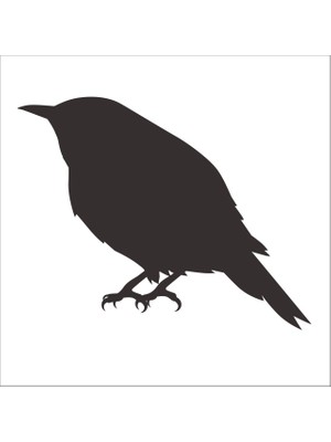 Technopa KUŞ FOLYO STİCKER DERSTV933 - 30cm Uzunluk