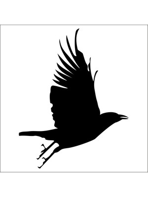 Technopa KUŞ FOLYO STİCKER - 160cm Uzunluk