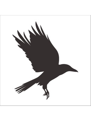 Technopa KUŞ FOLYO STİCKER DERSTV931 - 40cm Uzunluk