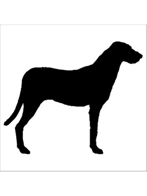 Technopa KÖPEK FOLYO STİCKER - 160cm Uzunluk