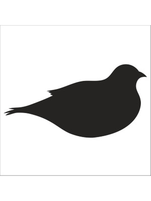 Technopa KUŞ FOLYO STİCKER DERSTV923 - 130cm Uzunluk