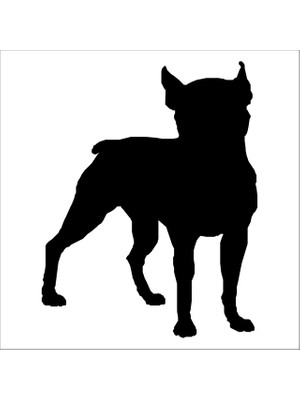 Technopa KÖPEK FOLYO STİCKER - 60cm Uzunluk