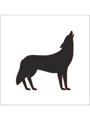 Technopa KURT FOLYO STİCKER - 20cm uzunluk