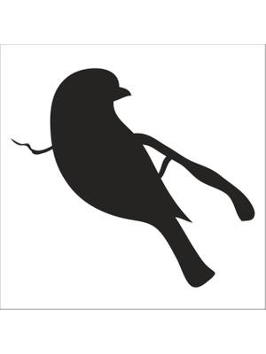 Technopa KUŞ FOLYO STİCKER - 50cm Uzunluk