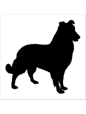Technopa KÖPEK FOLYO STİCKER - 100cm Uzunluk