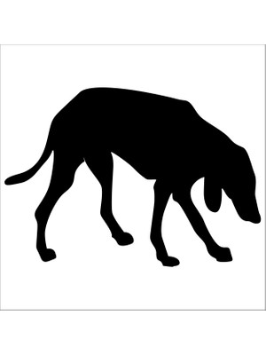 Technopa KÖPEK FOLYO STİCKER DERSTV889 - 90 cm uzunluk