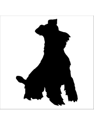 Technopa KÖPEK FOLYO STİCKER DERSTV888 - 160cm Uzunluk