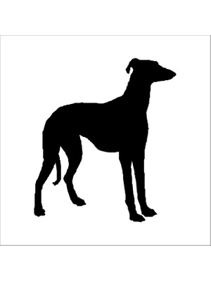 Technopa KÖPEK FOLYO STİCKER DERSTV879 - 70cm Uzunluk