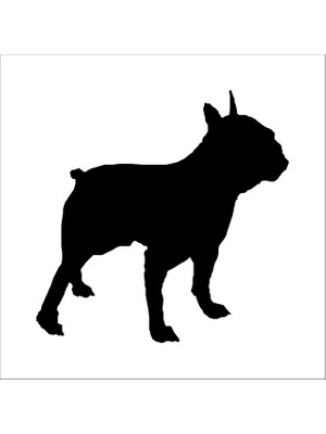 Technopa KÖPEK FOLYO STİCKER DERSTV878 - 30cm Uzunluk