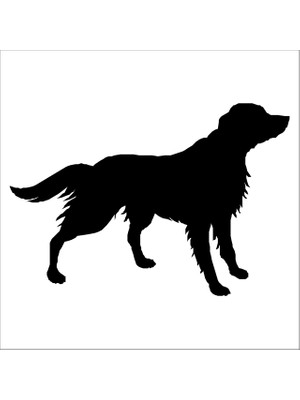 Technopa KÖPEK FOLYO STİCKER DERSTV870 - 200cm Uzunluk