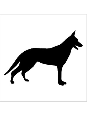 Technopa KÖPEK FOLYO STİCKER - 130cm Uzunluk