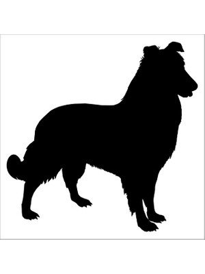 Technopa KÖPEK FOLYO STİCKER - 80cm Uzunluk