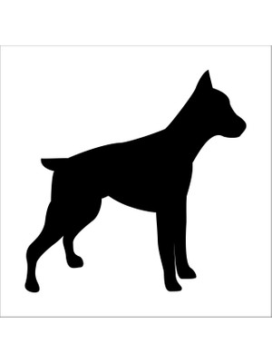Technopa KÖPEK FOLYO STİCKER DERSTV868 - 80cm Uzunluk