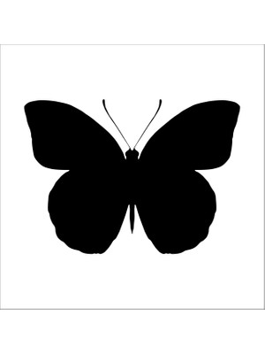 Technopa KELEBEK FOLYO STİCKER - 20cm uzunluk