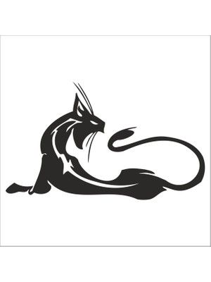Technopa KEDİ FOLYO STİCKER - 30cm Uzunluk