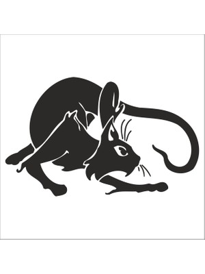 Technopa KEDİ FOLYO STİCKER - 70cm Uzunluk