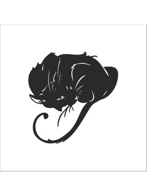 Technopa KEDİ FOLYO STİCKER - 200cm Uzunluk