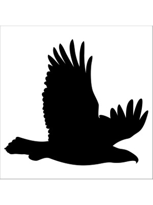 Technopa KARTAL FOLYO STİCKER DERSTV748 - 80cm Uzunluk