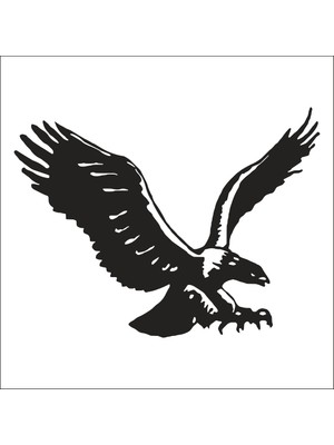 Technopa KARTAL FOLYO STİCKER DERSTV742 - 200cm Uzunluk