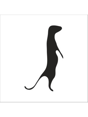 Technopa GELİNCİK FOLYO STİCKER - 130cm Uzunluk