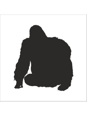 Technopa GORİL  FOLYO STİCKER - 200cm Uzunluk