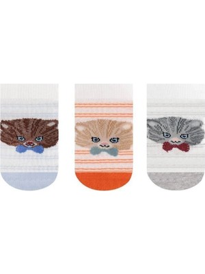 Bross Kedi Desenli Erkek Bebek 3lü Patik Çorap ONL-02714