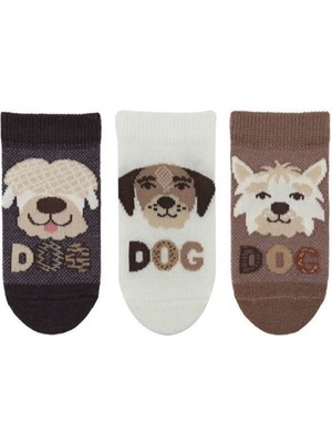 Bross Köpek Desenli  Erkek Bebek 3lü Step Asorti ONL-02717