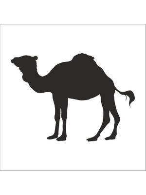 Technopa DEVE FOLYO STİCKER - 100cm Uzunluk