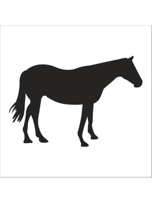 Technopa AT  FOLYO STİCKER - 80cm Uzunluk