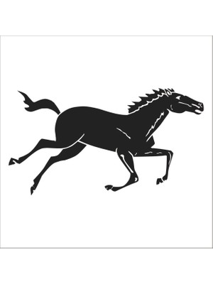 Technopa AT FOLYO STİCKER - 40cm Uzunluk