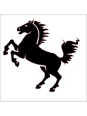 Technopa AT FOLYO STİCKER - 160cm Uzunluk