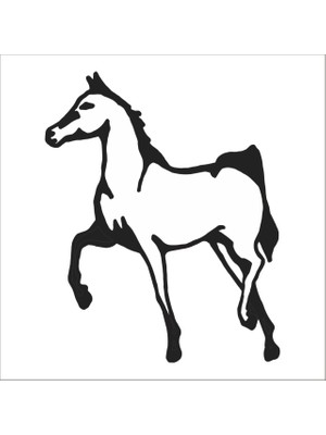 Technopa AT FOLYO STİCKER - 30cm Uzunluk