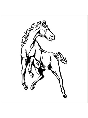 Technopa AT FOLYO STİCKER - 40cm Uzunluk