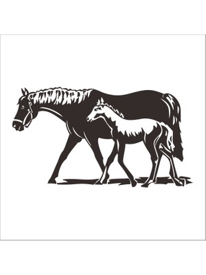 Technopa AT FOLYO STİCKER - 60cm Uzunluk