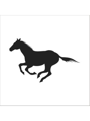 Technopa AT FOLYO STİCKER - 200cm Uzunluk