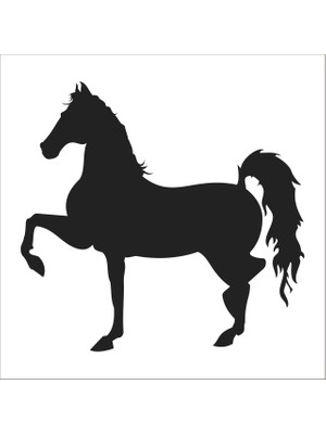 Technopa AT FOLYO STİCKER - 160cm Uzunluk