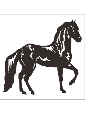 Technopa AT FOLYO STİCKER - 70cm Uzunluk