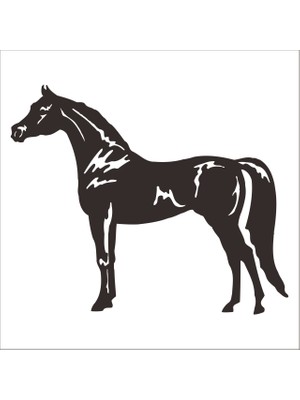 Technopa AT FOLYO STİCKER - 90 cm uzunluk