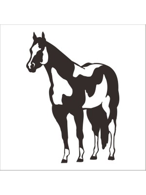 Technopa AT FOLYO STİCKER - 20cm uzunluk