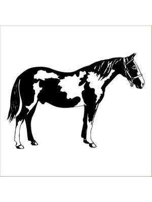 Technopa AT FOLYO STİCKER - 130cm Uzunluk