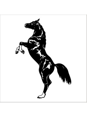 Technopa AT FOLYO STİCKER - 130cm Uzunluk