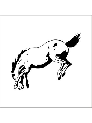 Technopa AT FOLYO STİCKER - 160cm Uzunluk