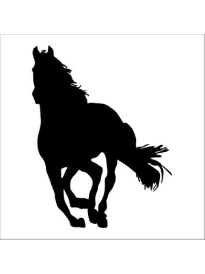 Technopa AT FOLYO STİCKER - 40cm Uzunluk