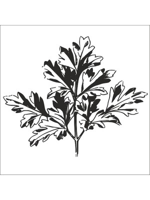 Technopa AĞAÇ VE GÜL RESİMLERİ FOLYO STİCKER - 70cm Uzunluk