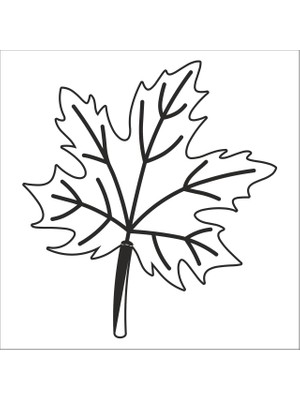 Technopa AĞAÇ VE GÜL RESİMLERİ FOLYO STİCKER - 80cm Uzunluk